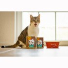 RyCat Organic Duck (Bio-Ente) 800g (6 Piece)