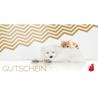 Anifit 10 EUR Gutschein (1 Stuk)